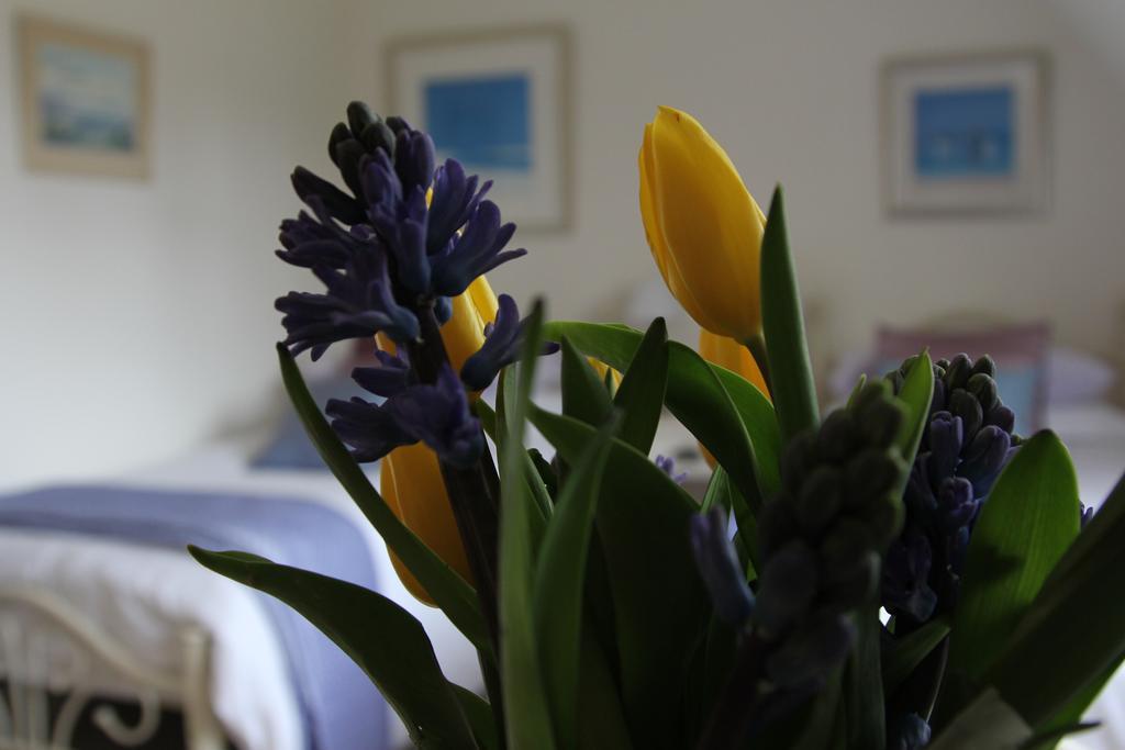 Sunny Cottage Maidenhead Pokoj fotografie
